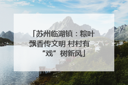 苏州临湖镇：粽叶飘香传文明 村村有“戏”树新风